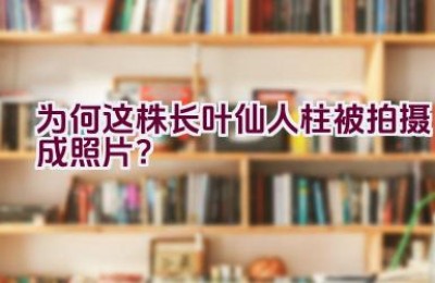 为何这株长叶仙人柱被拍摄成照片？