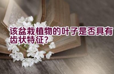 该盆栽植物的叶子是否具有齿状特征？