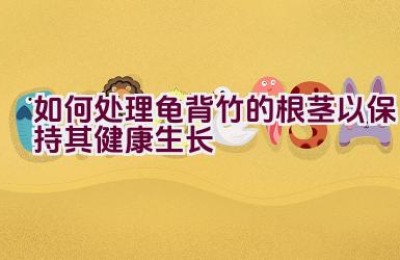 如何处理龟背竹的根茎以保持其健康生长