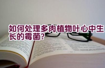 如何处理多肉植物叶心中生长的霉菌？