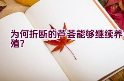 为何折断的芦荟能够继续养殖？