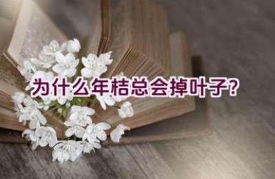 为什么年桔总会掉叶子？