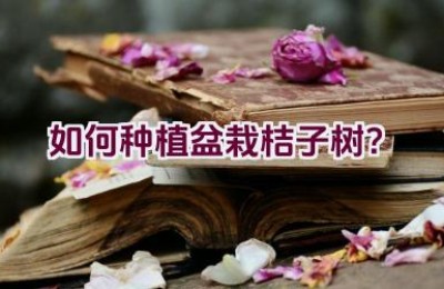 如何种植盆栽桔子树？