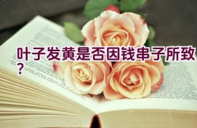 叶子发黄是否因钱串子所致？