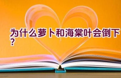 为什么萝卜和海棠叶会倒下？