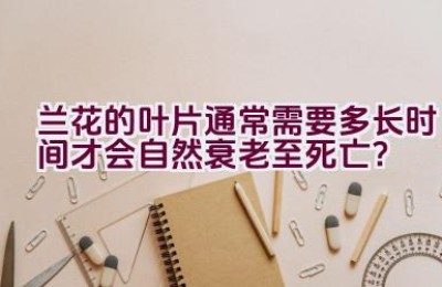 兰花的叶片通常需要多长时间才会自然衰老至死亡？