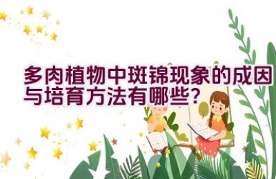 多肉植物中斑锦现象的成因与培育方法有哪些？