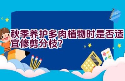 秋季养护多肉植物时是否适宜修剪分枝？