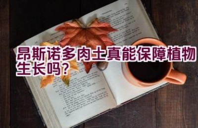 昂斯诺多肉土真能保障植物生长吗？