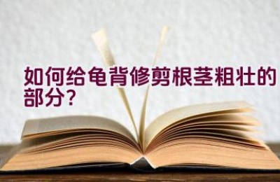 如何给龟背修剪根茎粗壮的部分？