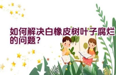 如何解决白橡皮树叶子腐烂的问题？