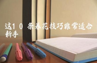 这10条养花技巧非常适合新手