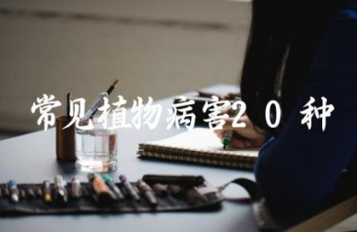 常见植物病害20种