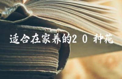 适合在家养的20种花