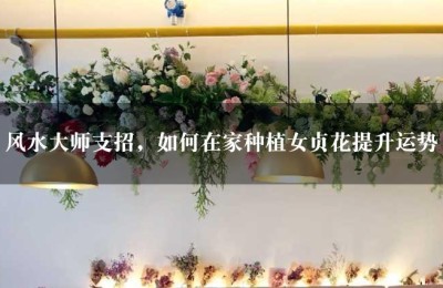 风水大师支招，如何在家种植女贞花提升运势