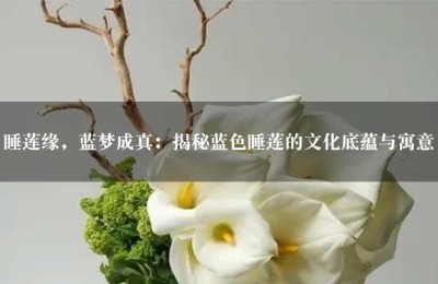 睡莲缘，蓝梦成真：揭秘蓝色睡莲的文化底蕴与寓意