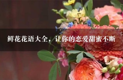 鲜花花语大全，让你的恋爱甜蜜不断