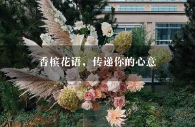 香槟花语，传递你的心意