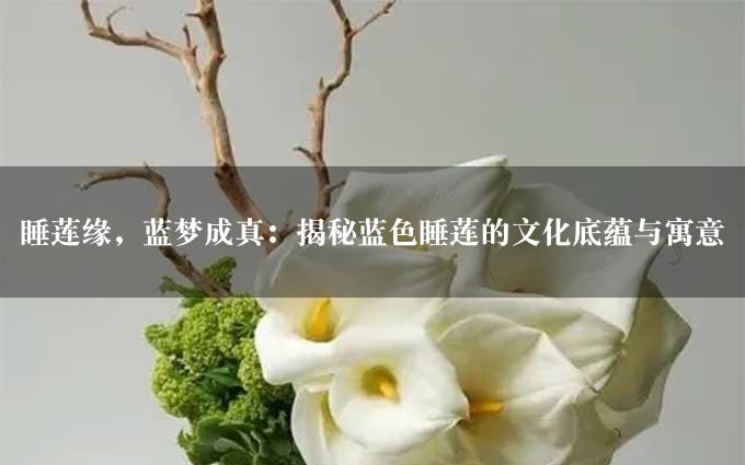 睡莲缘，蓝梦成真：揭秘蓝色睡莲的文化底蕴与寓意插图