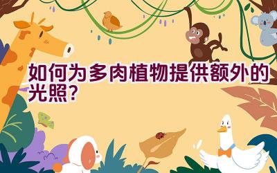 如何为多肉植物提供额外的光照？插图