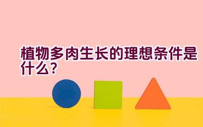 植物多肉生长的理想条件是什么？插图