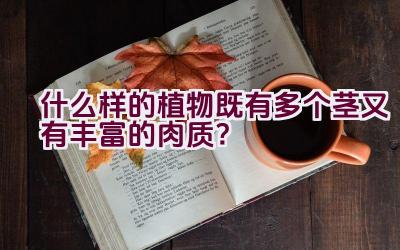 什么样的植物既有多个茎又有丰富的肉质？插图