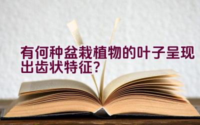 有何种盆栽植物的叶子呈现出齿状特征？插图