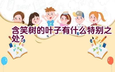 含笑树的叶子有什么特别之处？插图