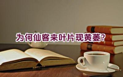 为何仙客来叶片现黄萎？插图