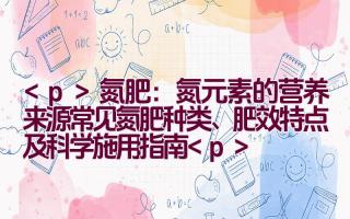 氮肥：氮元素的营养来源（常见氮肥种类、肥效特点及科学施用指南）插图