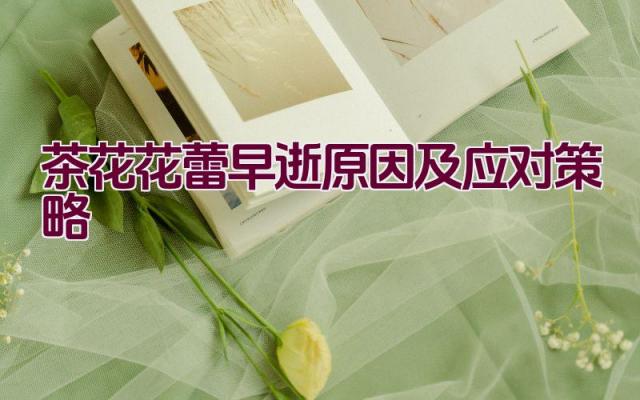 茶花花蕾早逝原因及应对策略插图 茶花花蕾早逝原因及应对策略插图