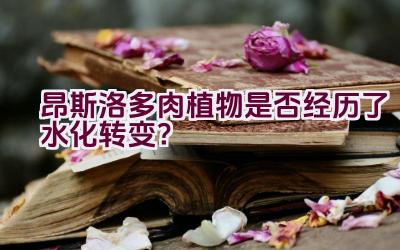 昂斯洛多肉植物是否经历了水化转变？插图