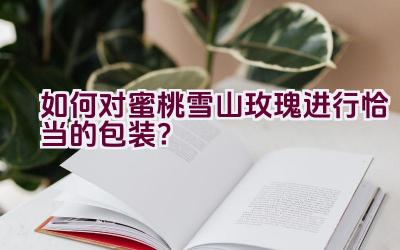 如何对蜜桃雪山玫瑰进行恰当的包装？插图