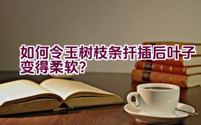 如何令玉树枝条扦插后叶子变得柔软？插图