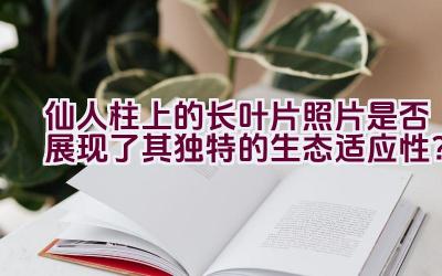 仙人柱上的长叶片照片是否展现了其独特的生态适应性？插图