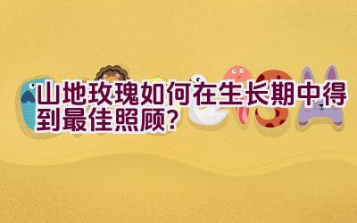 山地玫瑰如何在生长期中得到最佳照顾？插图