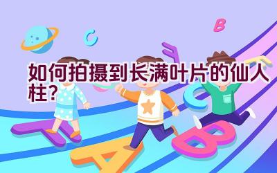 “如何拍摄到长满叶片的仙人柱？”插图