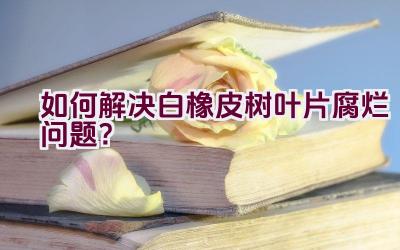 如何解决白橡皮树叶片腐烂问题？插图