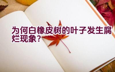 为何白橡皮树的叶子发生腐烂现象？插图