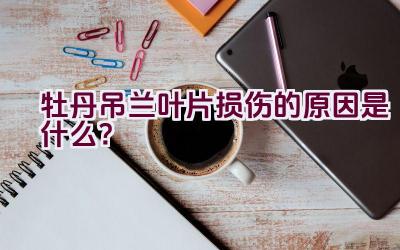 牡丹吊兰叶片损伤的原因是什么？插图