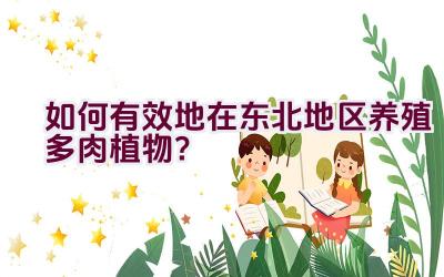 如何有效地在东北地区养殖多肉植物？插图