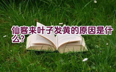 仙客来叶子发黄的原因是什么？插图