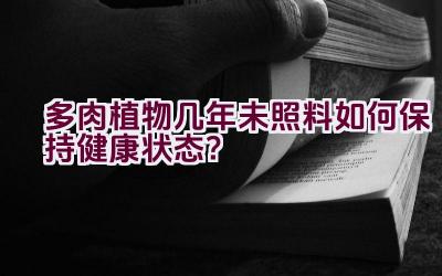 多肉植物几年未照料如何保持健康状态？插图