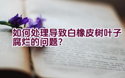 如何处理导致白橡皮树叶子腐烂的问题？插图