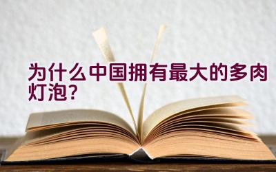 为什么中国拥有最大的多肉灯泡？插图