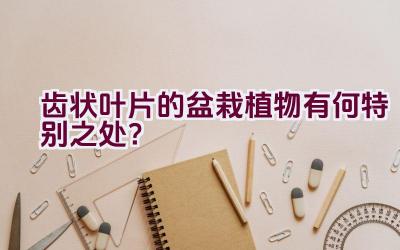 齿状叶片的盆栽植物有何特别之处？插图