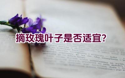 摘玫瑰叶子是否适宜？插图