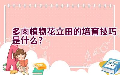 多肉植物花立田的培育技巧是什么？插图