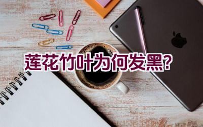 莲花竹叶为何发黑?插图 莲花竹叶为何发黑?插图