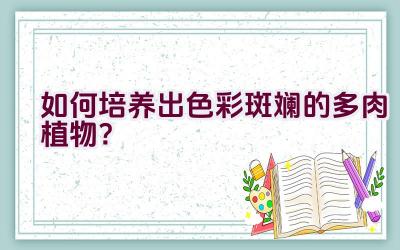 如何培养出色彩斑斓的多肉植物？插图